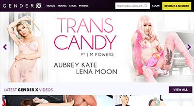 Tranny Chat Room - 15+ Trans Porn Sites: The Best Transgender Websitesã€2023ã€‘
