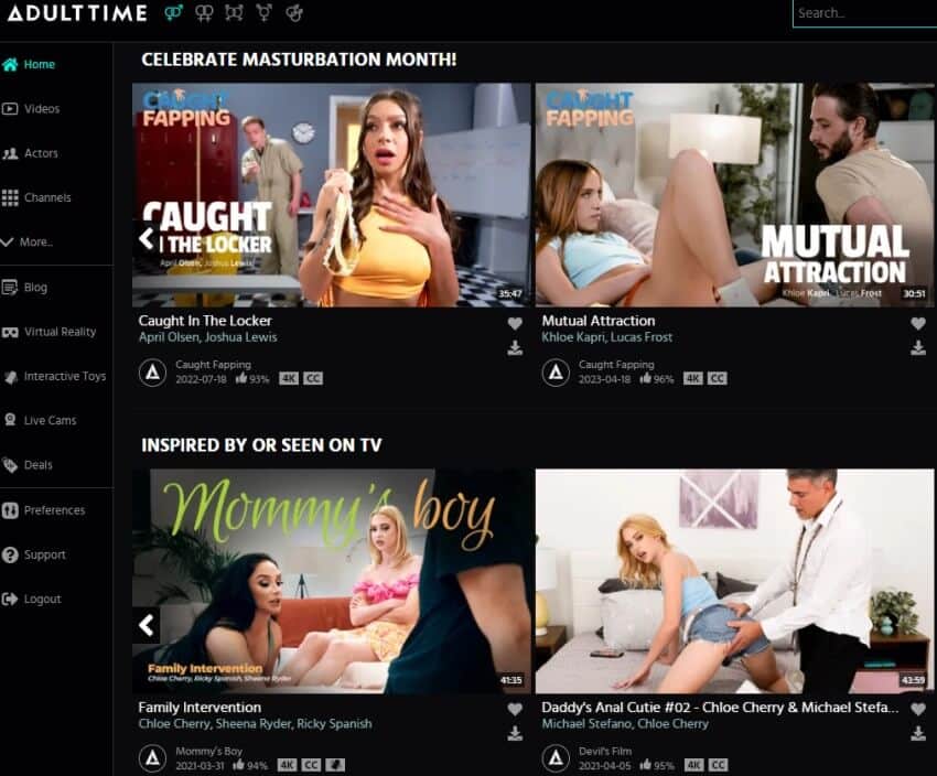 Adult Porn Sites - Best Subscription Porn Sites: The Top Paid Porn Sites [reviews]
